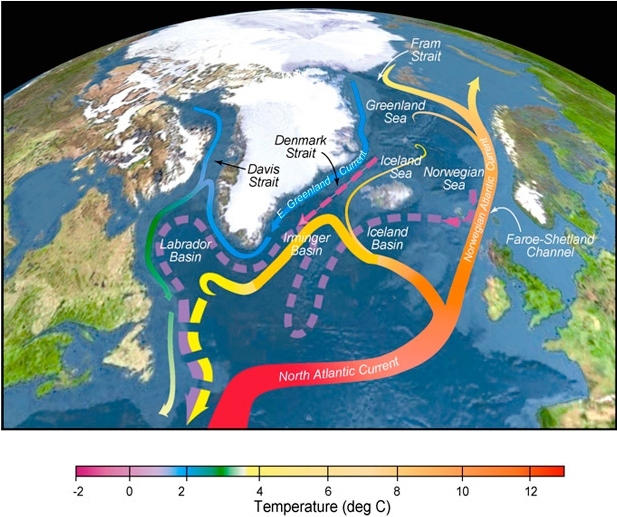 3 irminger current