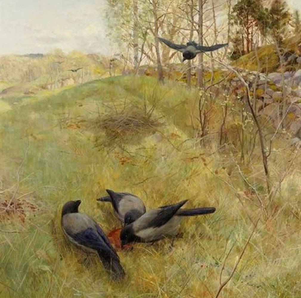 Aberg gunnar 1869 1894 sweden krakorna samlas