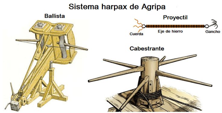 Agrippa harpaxa