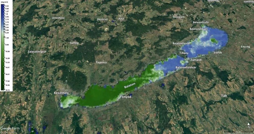 Balaton algái