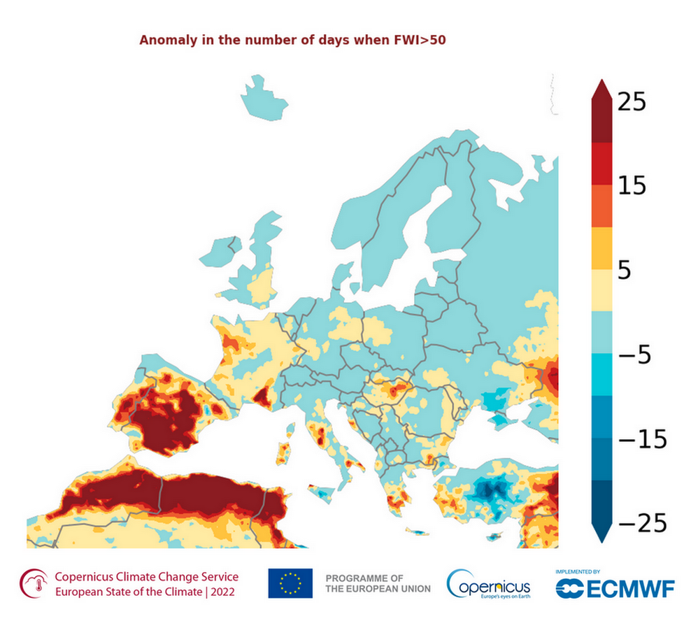 FIGURE 2 WILDFIRES