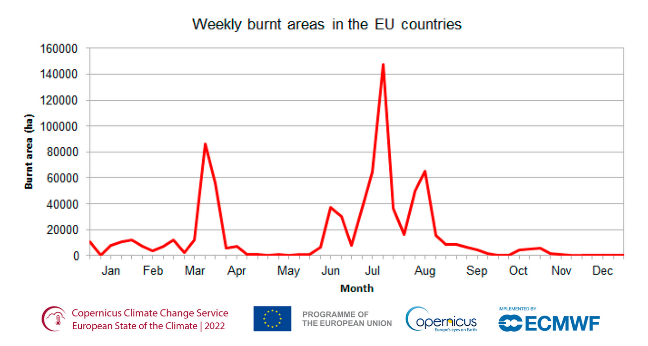 FIGURE 4A ESOTC WILDFIRES