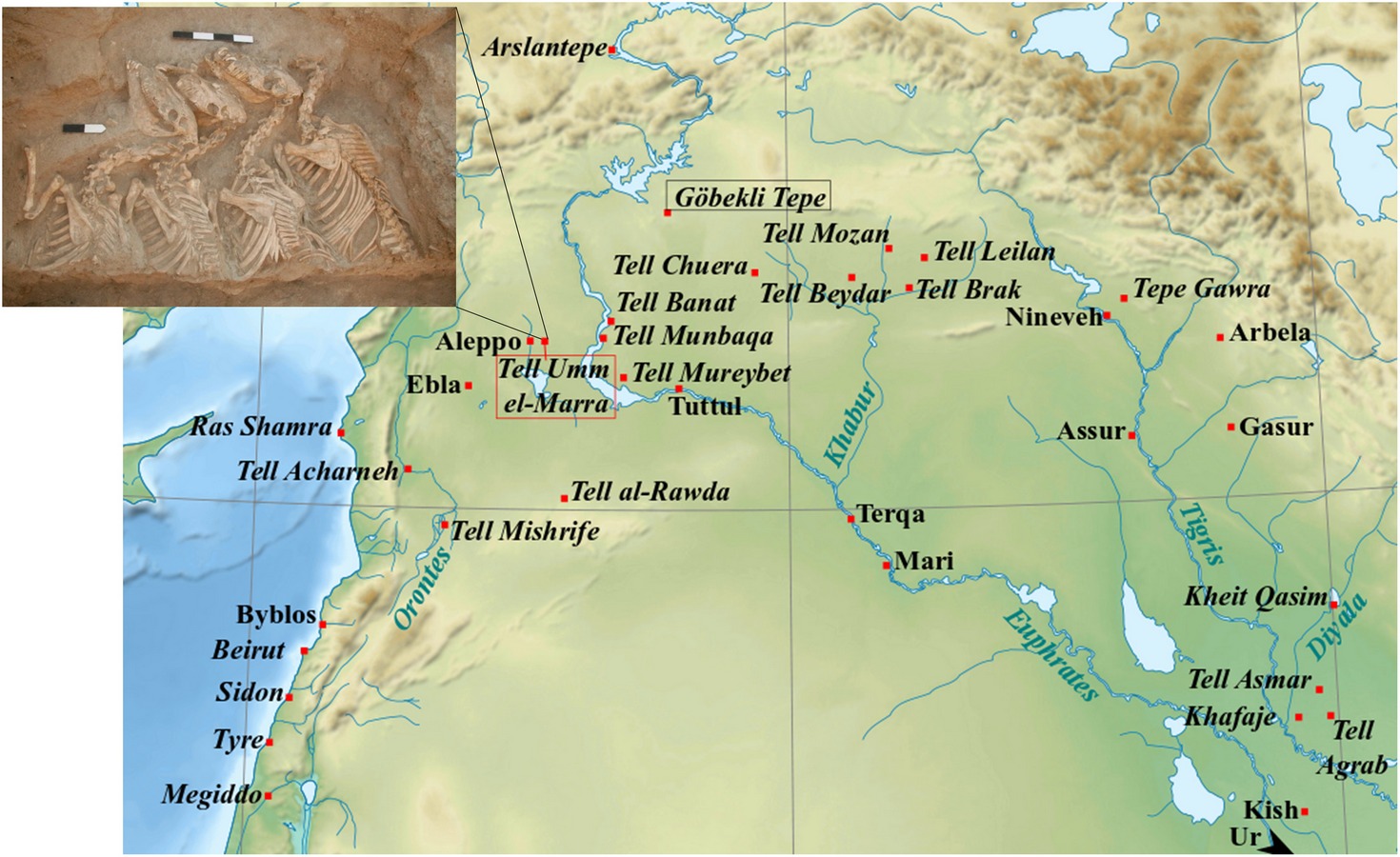 Hibrid szamár KUNGA lelőhely 2500BC sciadv.abm0218 f2