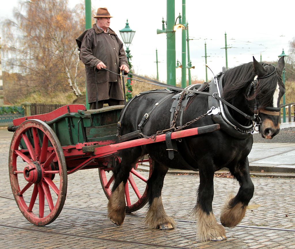 Horse cart Beamish Museum