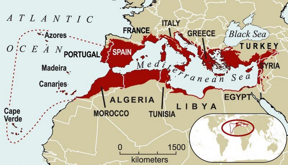Mediterranean Basin Hotspot 2005 AMI ÉGNI FOG
