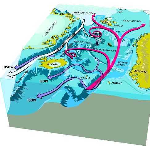 Molloy Deep northsea circ