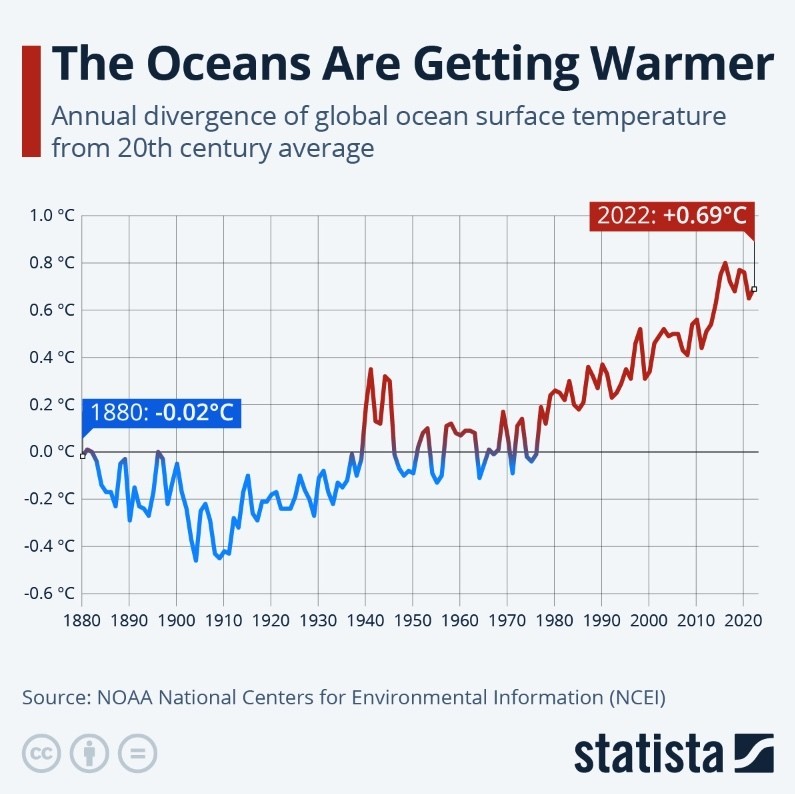 NOAA sea temp
