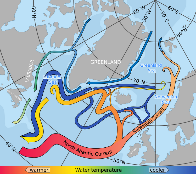 North Atlantic currents.svg 1