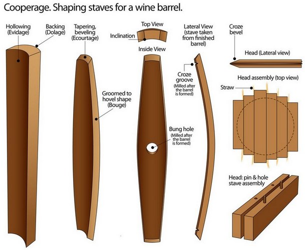 Process of shaping staves for an oak wine barrel toneleria nacional chile