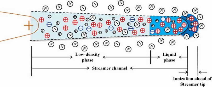 Schematic diagram of streamer during propagation