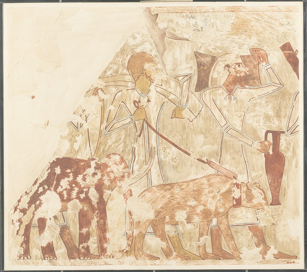 Syrians Bringing an Elephant and a Bear Tomb of Rekhmire MET DP161256