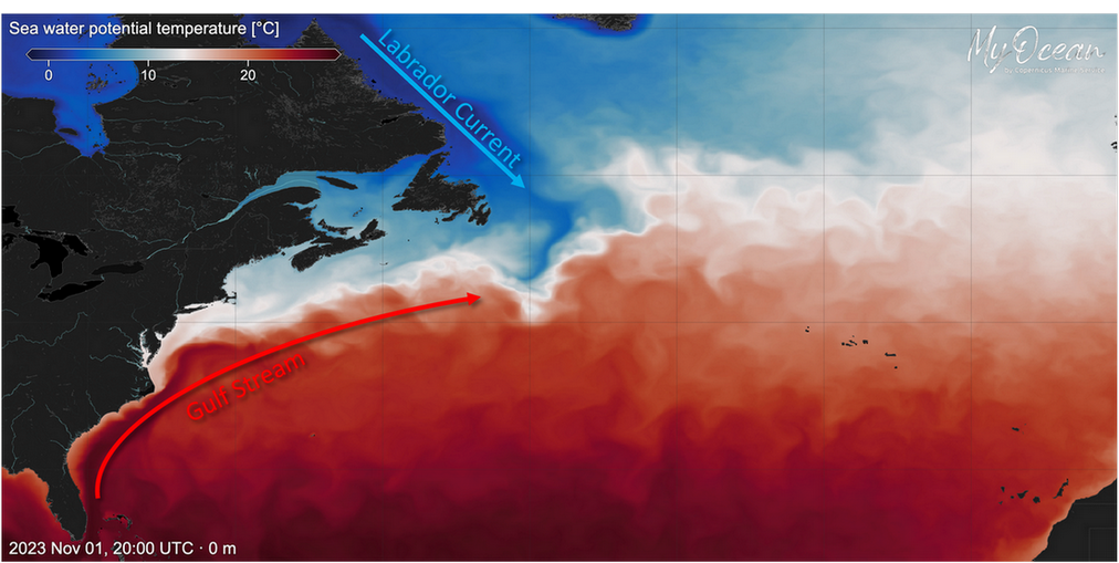 TEMP of the atlantic ocean gulf stream and labrador current 1