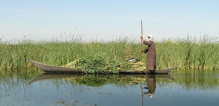 iraq marshlands