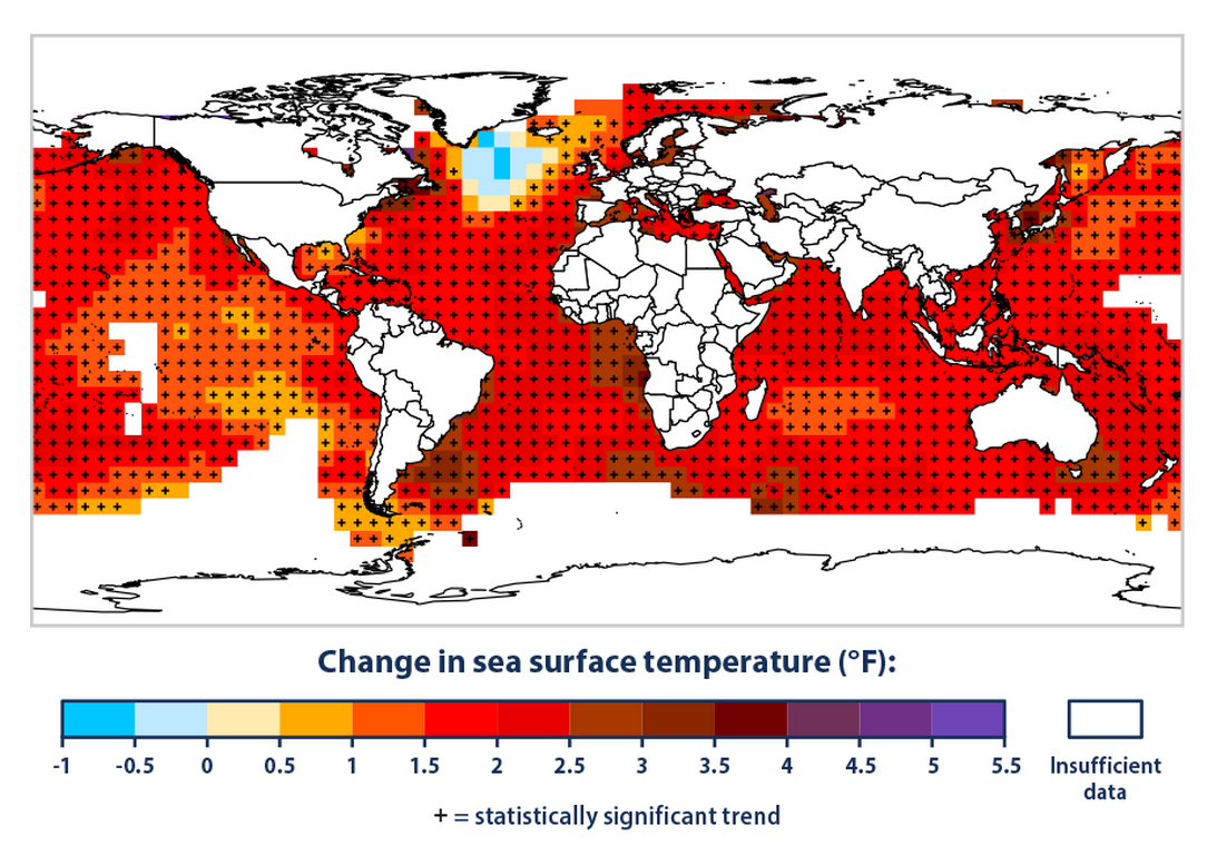 sea surface temperature figure2 2024