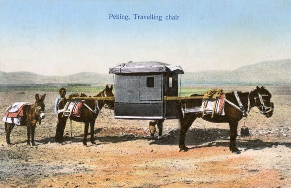 transport sedan chair carried donkeys beijing 11584431