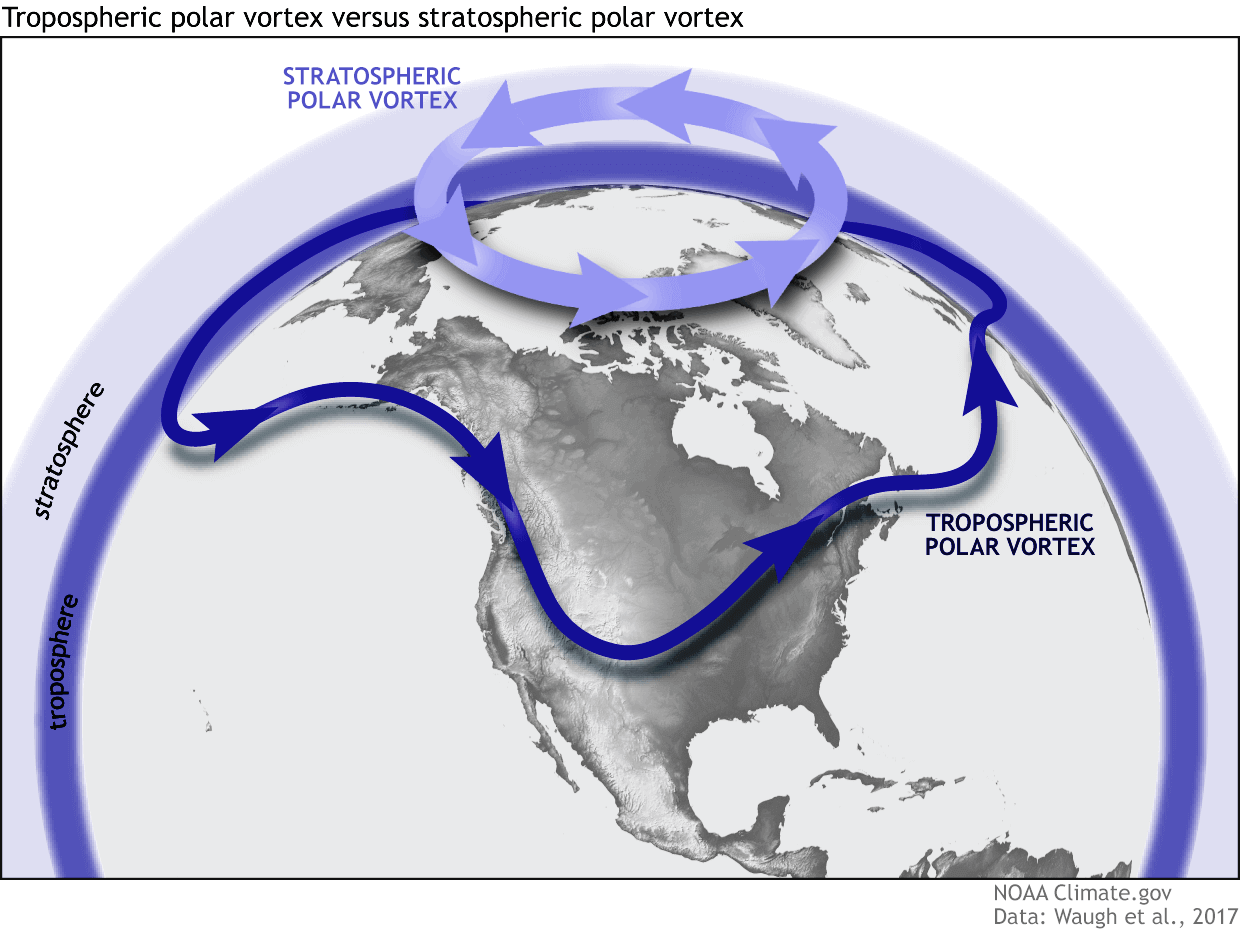what is polar vortex collapse sudden stratospheric warming 2025 north hemisphere winter spring weather forecast pattern snowfall united states